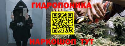 бошки Гагарин