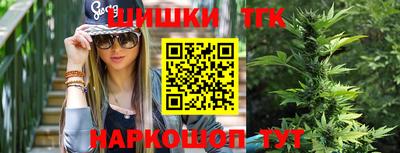 бошки Гагарин