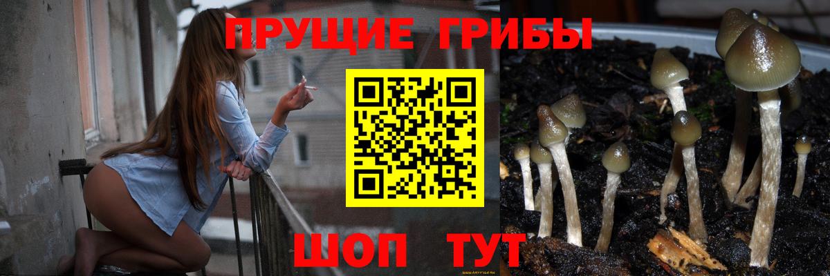 Псилоцибиновые грибы Psilocybine cubensis  Вход с VPN  Острогожск 